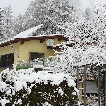 Fewo Zum Gscheiten Beck Mit Grosser Terrasse Feldberg  Dış mekan fotoğraf