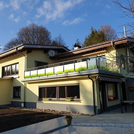 Fewo Zum Gscheiten Beck Mit Grosser Terrasse Feldberg  Dış mekan fotoğraf